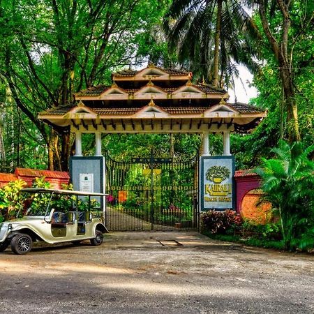 Kairali - The Ayurvedic Healing Village Palakkad Exteriér fotografie